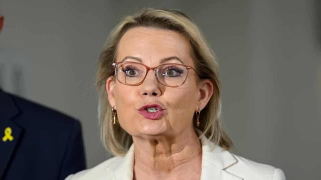 Libs admit Chinese diaspora failings on listening tour