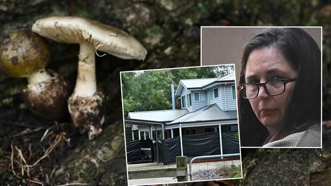 Mushroom cook murder convictions 'appeal-proof': expert