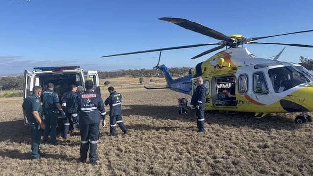 Lion 'just playing' when it attacked woman: zoo owner