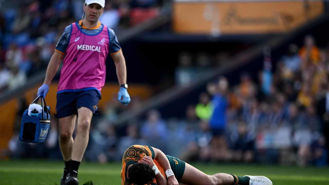 Lolesio ruled out of Lions in blow for Wallabies hopes