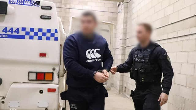 ‘I love you’: accused cat killer’s words to family