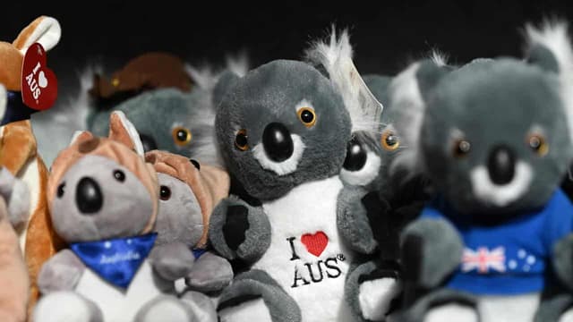 Australia's message to Asian allies worried about Trump