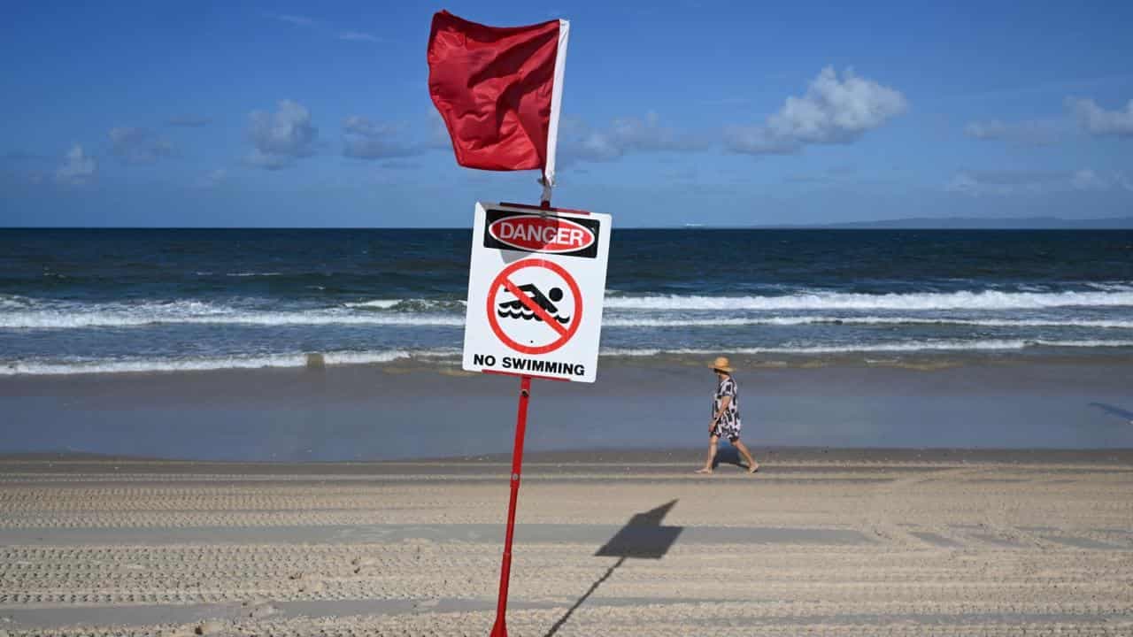 Warmer seas could bring more sharks to popular beaches