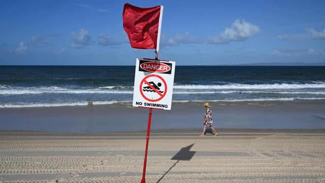 Warmer seas could bring more sharks to popular beaches