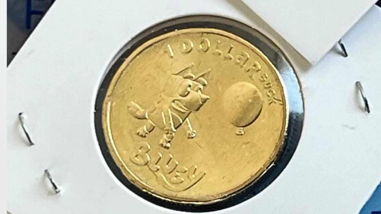 Bluey coin bandits wait to learn fate over coin theft