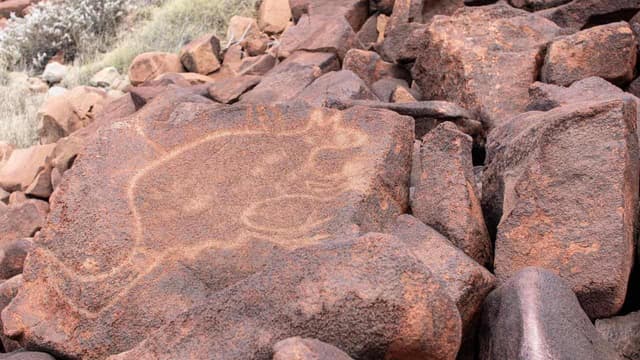 Fears heritage-listed rock art at risk from gas project