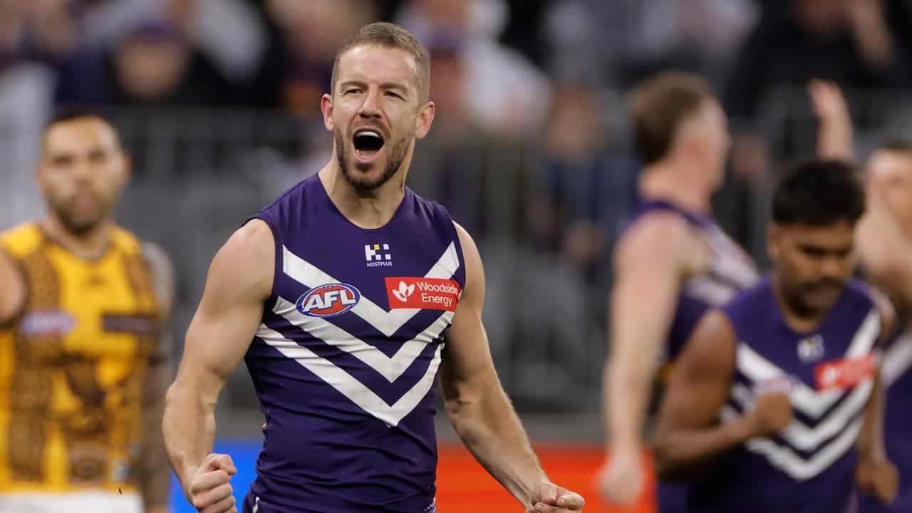 Switkowski swoops as Dockers over-run Hawks in Perth