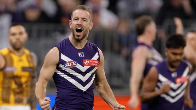Switkowski swoops as Dockers over-run Hawks in Perth