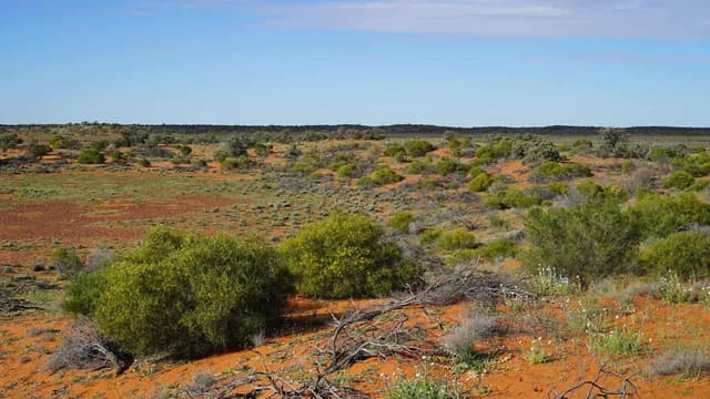 Desert haven teeming with life a snapshot of the past