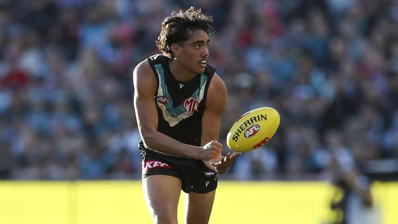 'It gets tiring': Port forecast AFL action over racism