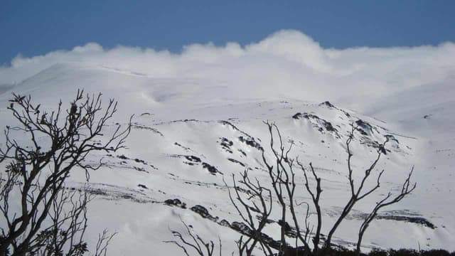 Body found near wreckage of Snowy Mountains plane crash