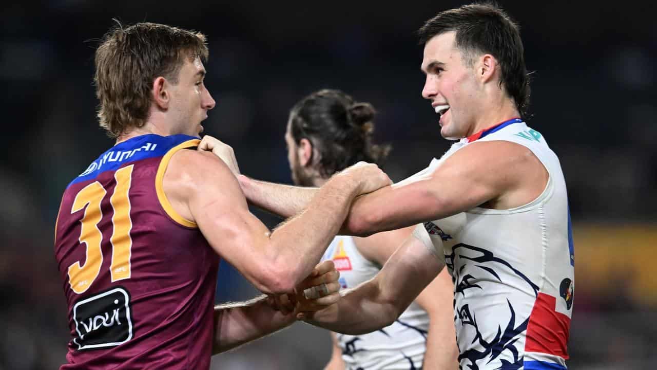 No more tomorrows for desperate Dogs