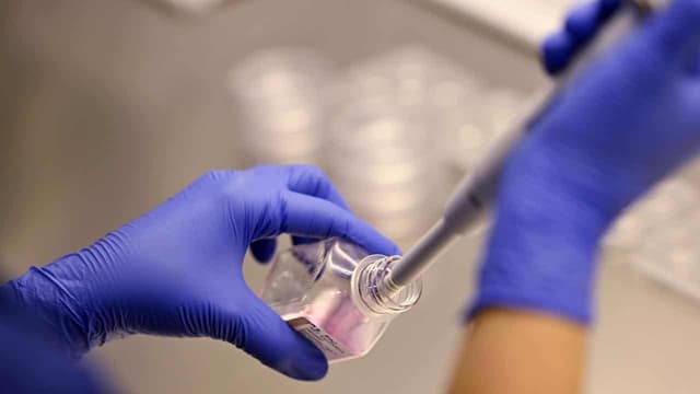 IVF hack inquiry confirms details published on dark web