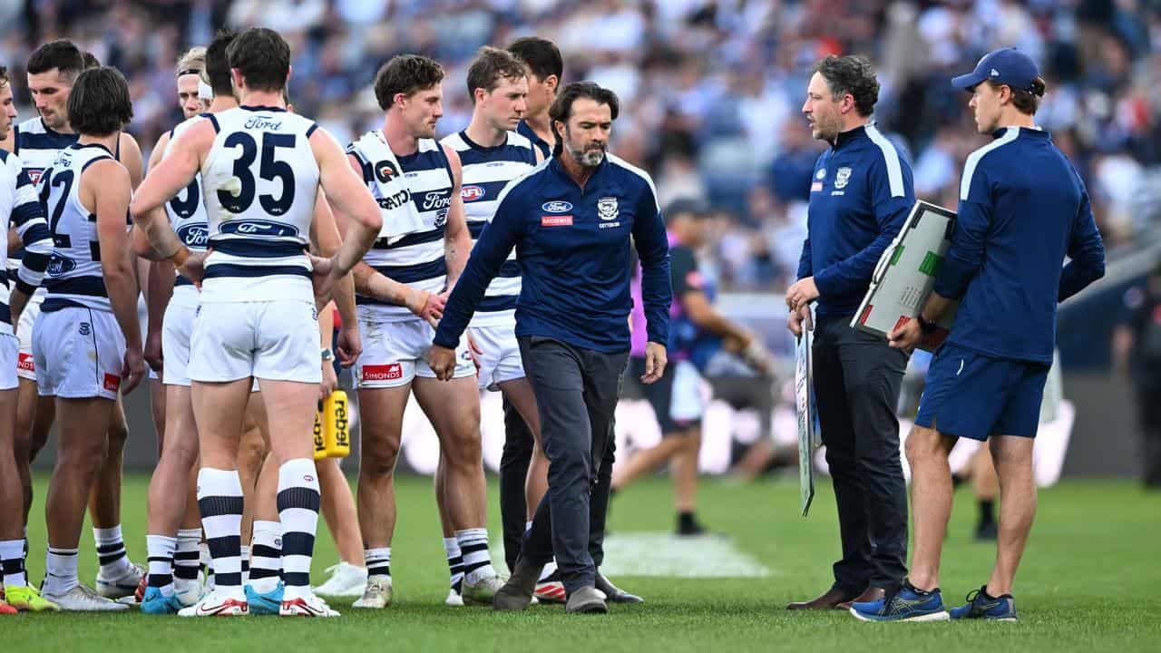 Saints 50-50 chance for Cats upset, says coach Scott