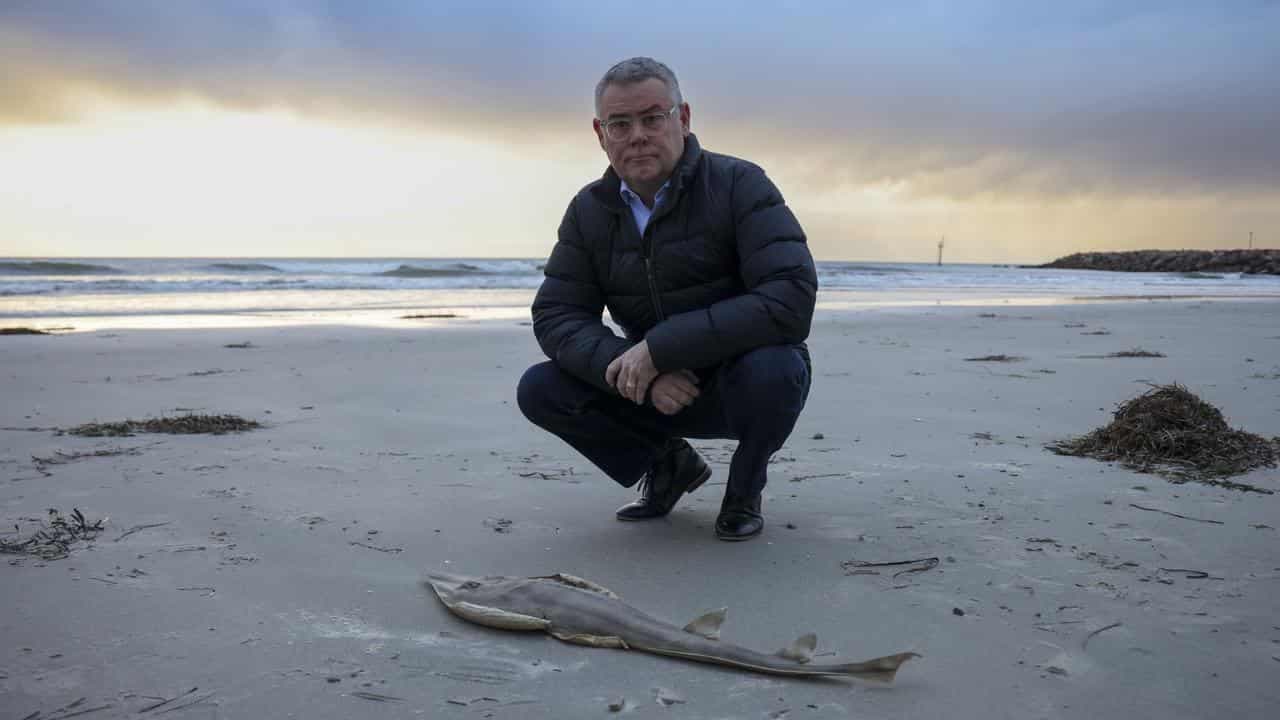 'Incredibly disturbing': federal help for algae crisis