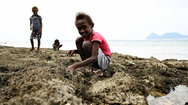 History in making as World Court to advise on climate