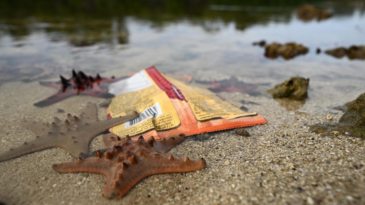 Pacific nations applaud 'lifeline' climate ruling