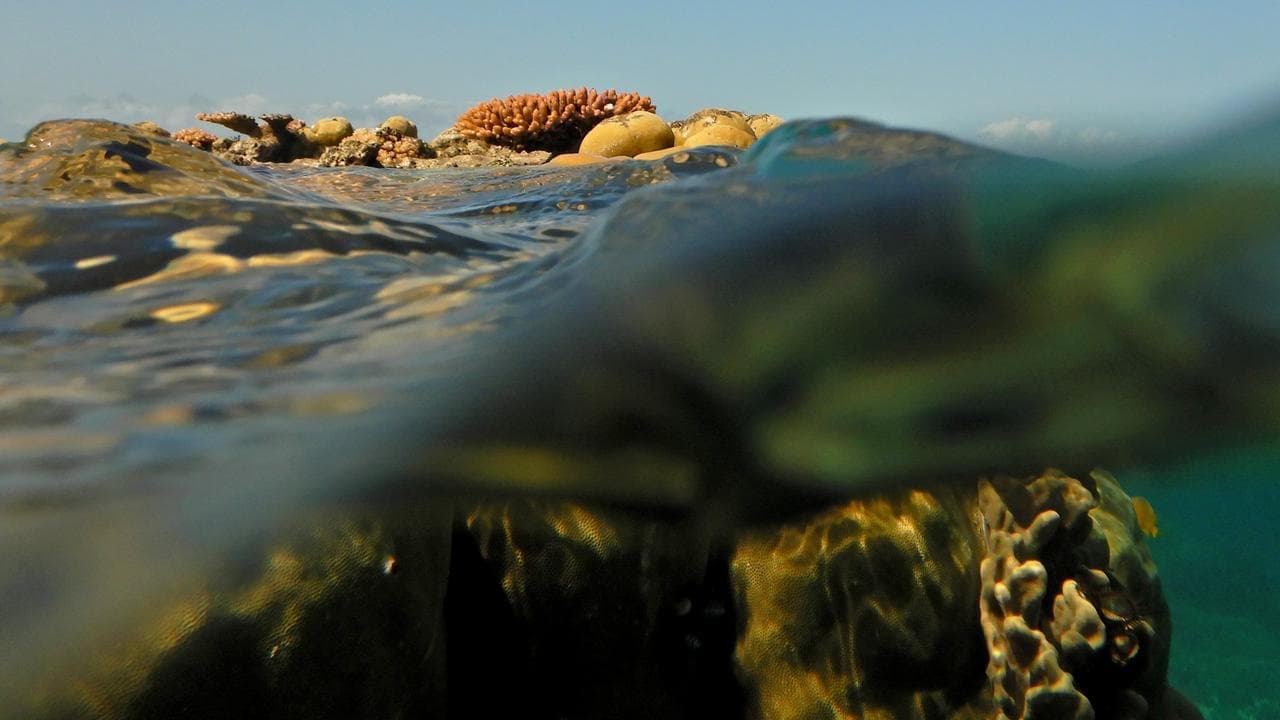 Marine heatwaves spark major climate change concerns