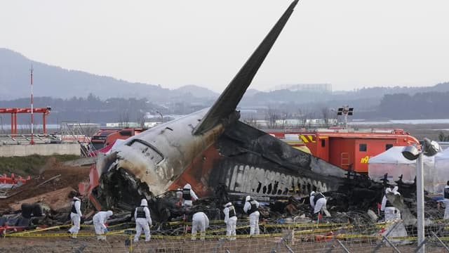 Jeju Air jet 'still had working engine' when it crashed