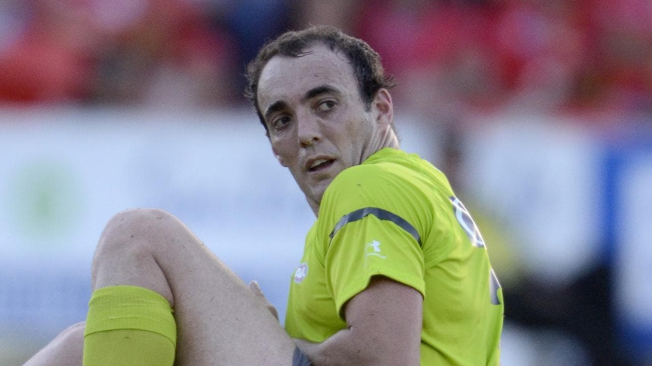 Ex-AFL umpire jailed for filly sale 'false narrative'