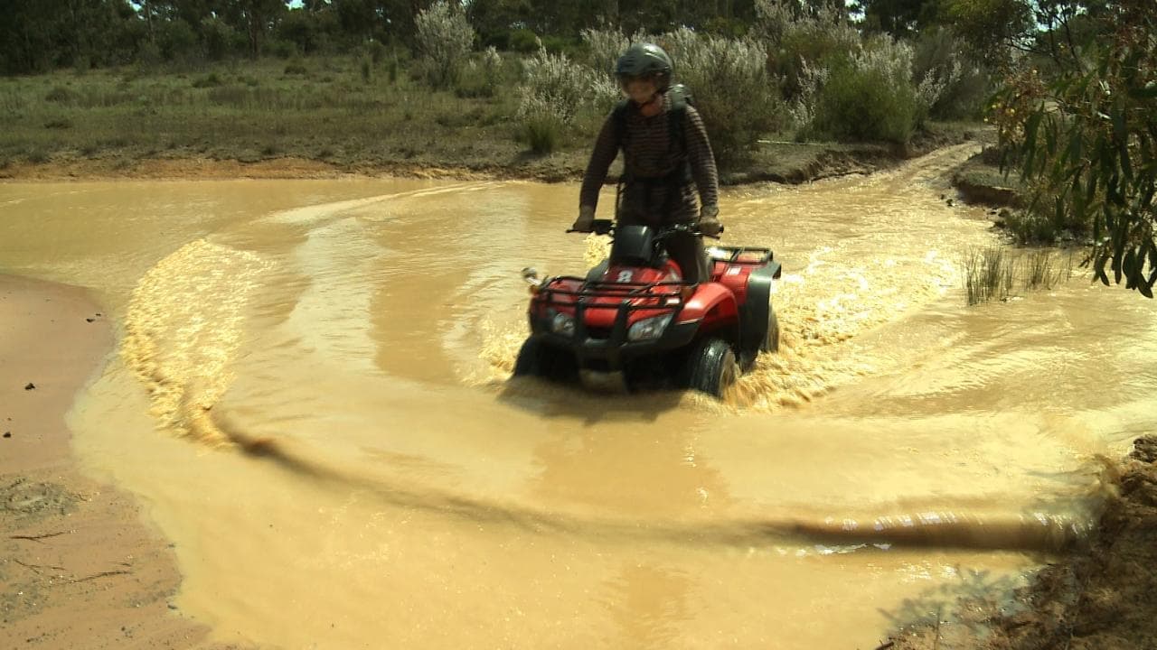 Quad bike standards saving lives as crackdown urged