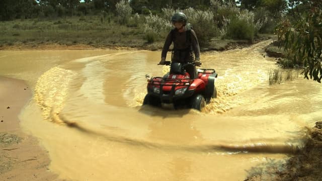 Quad bike standards saving lives as crackdown urged
