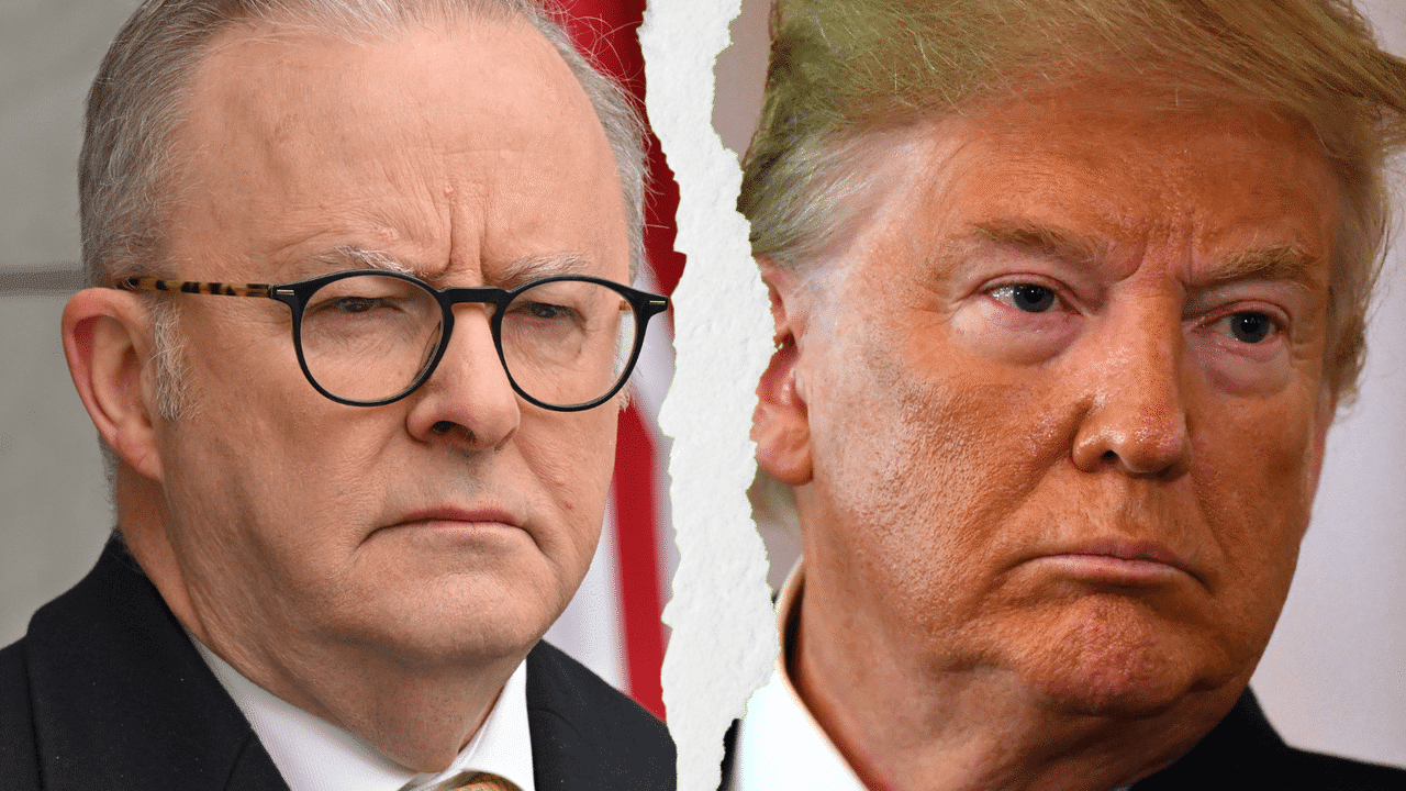 Trump-Albo beef over meat imports is fake