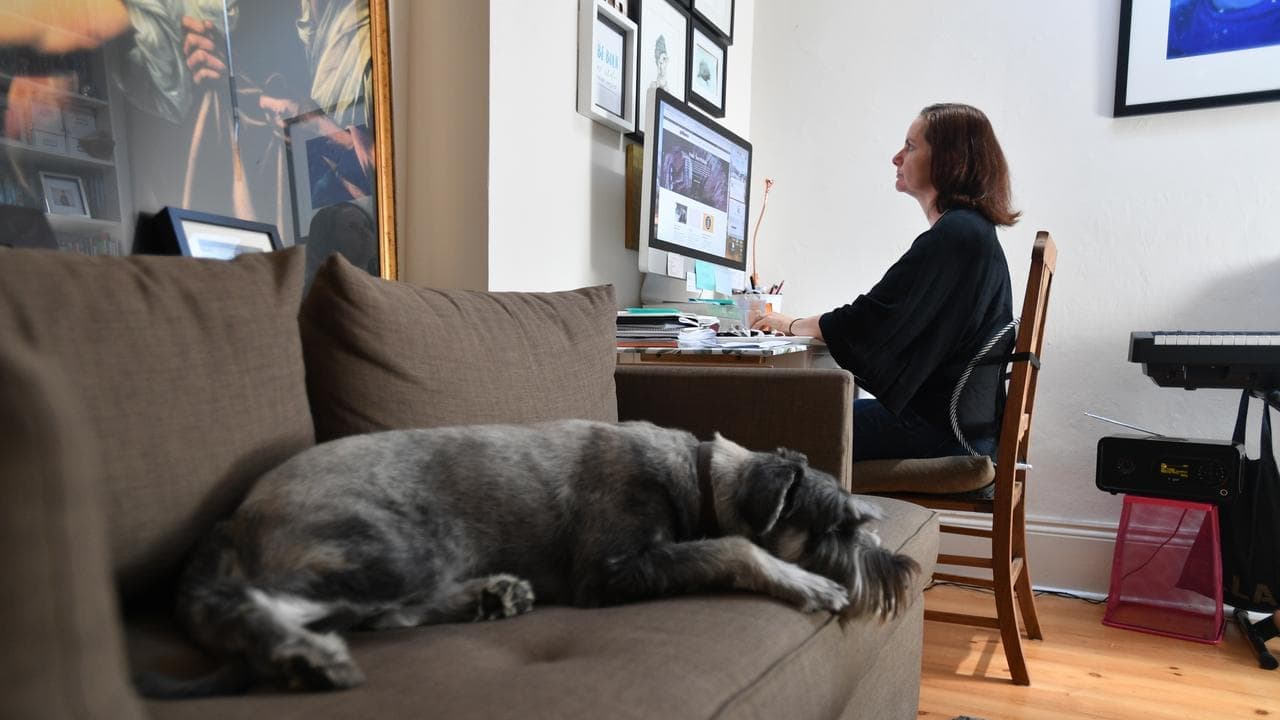 Business slams plan to enshrine right to work from home