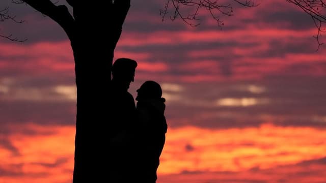 Howdy partner: dating app blooms new look B&S ball