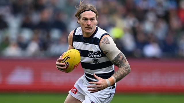 Cats coach weighs in on Stewart's awkward collision