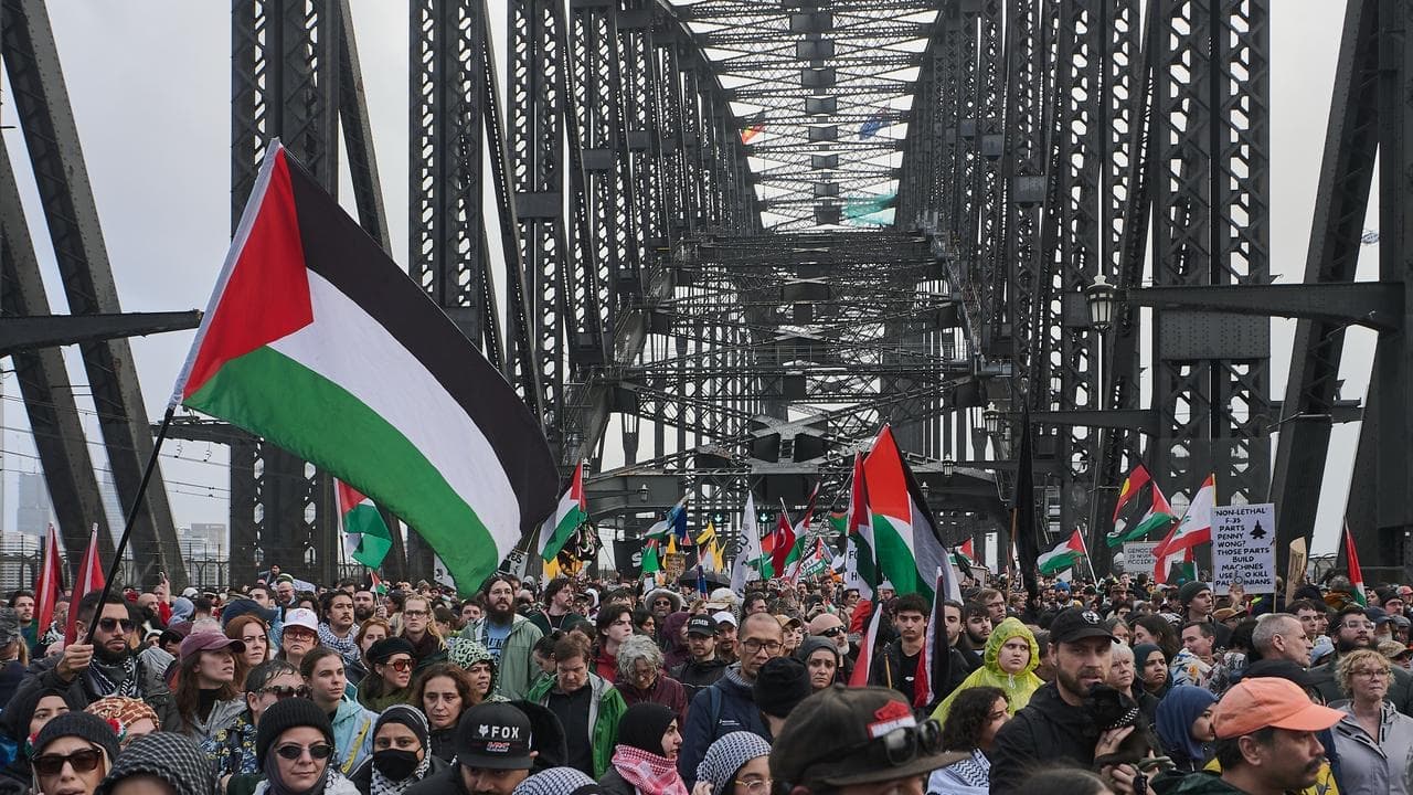 Recognising Palestine 'would bring an end to Hamas'