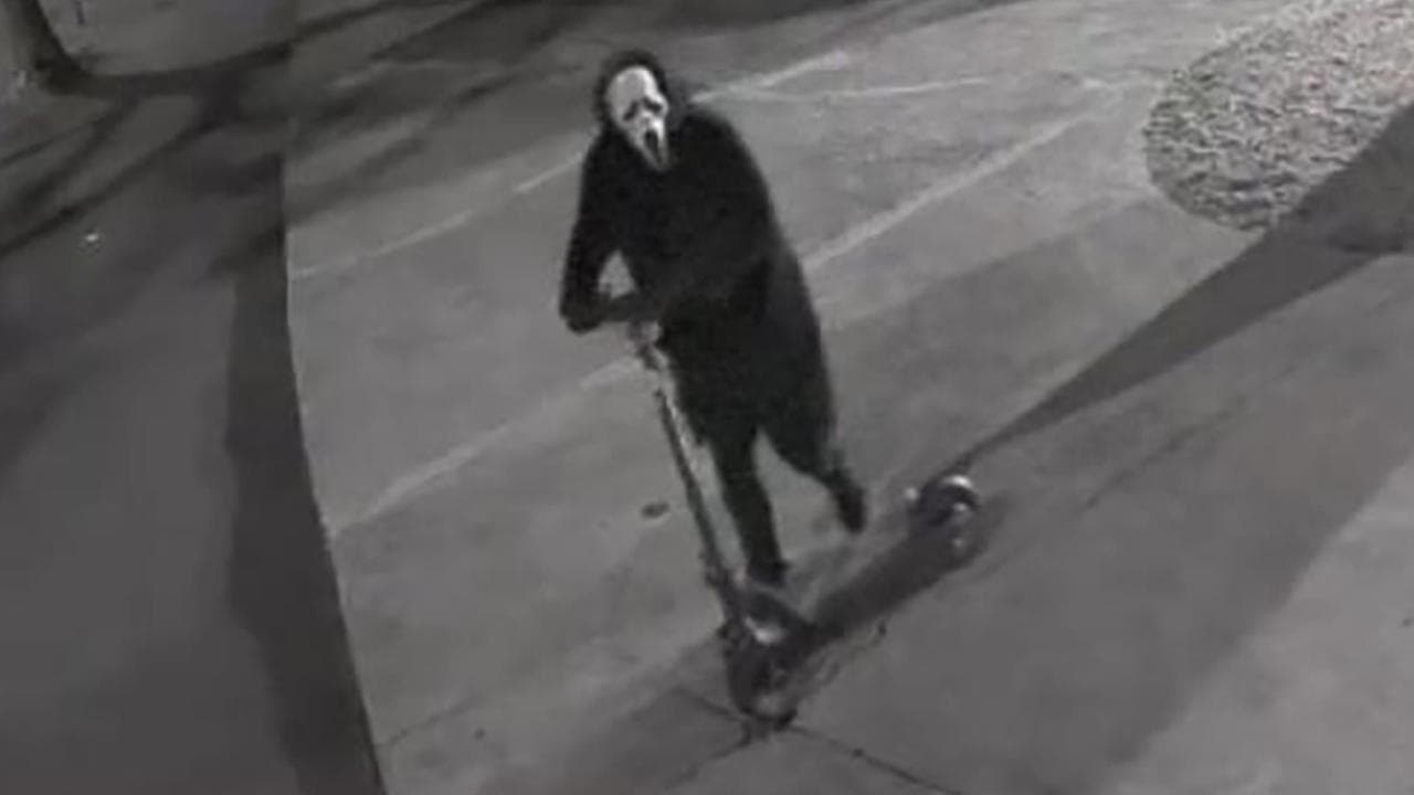 Vandal wanted over 'abhorrent' synagogue graffiti