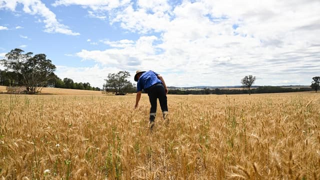Farmers get on front foot in evolving war against weeds