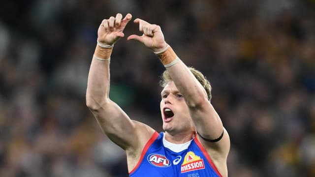 Western Bulldogs veteran timing his run to AFL finals