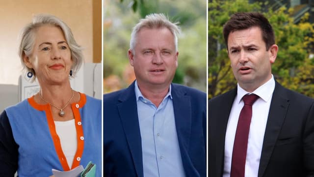 Labor risks Green light to govern in power grab twist