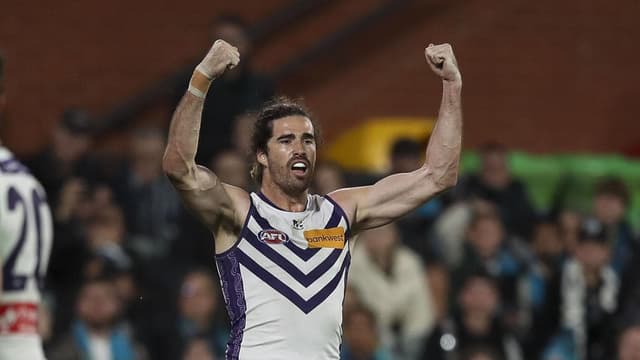 Soaring Dockers warned: 'Don't get caught in the hype'