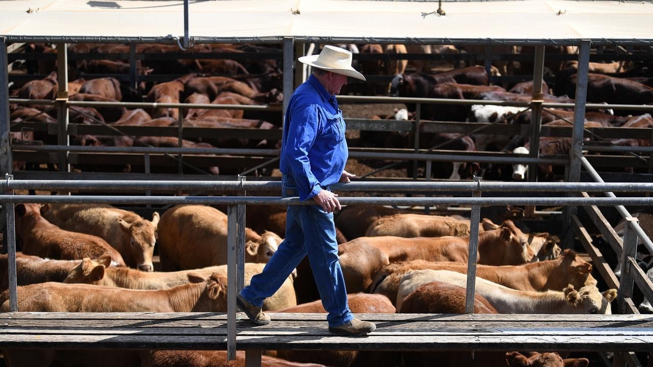 Aussie beef a hot commodity as US imports hit a high