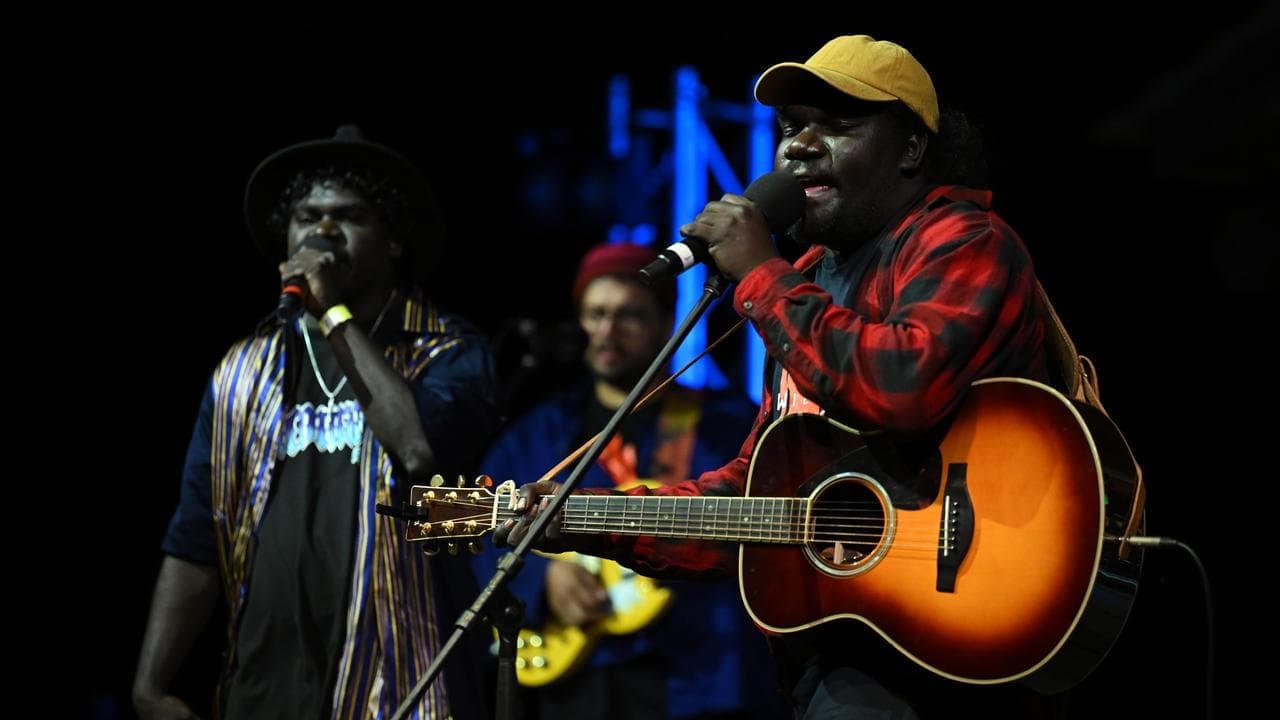 Wild Honey: the sweetest sound of remote Australia