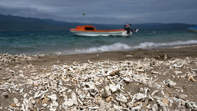 Pacific nations make passionate plea amid climate fears