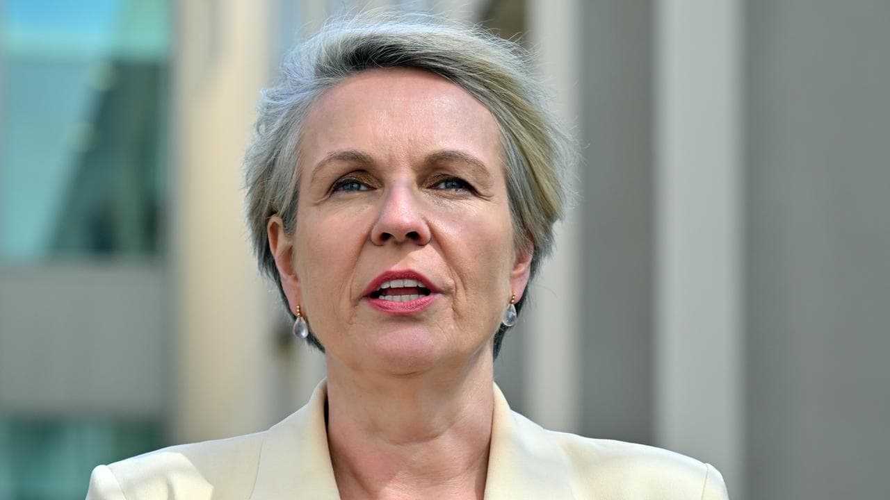Plibersek's claim that Liberal plan would've cut paid parental leave misleads