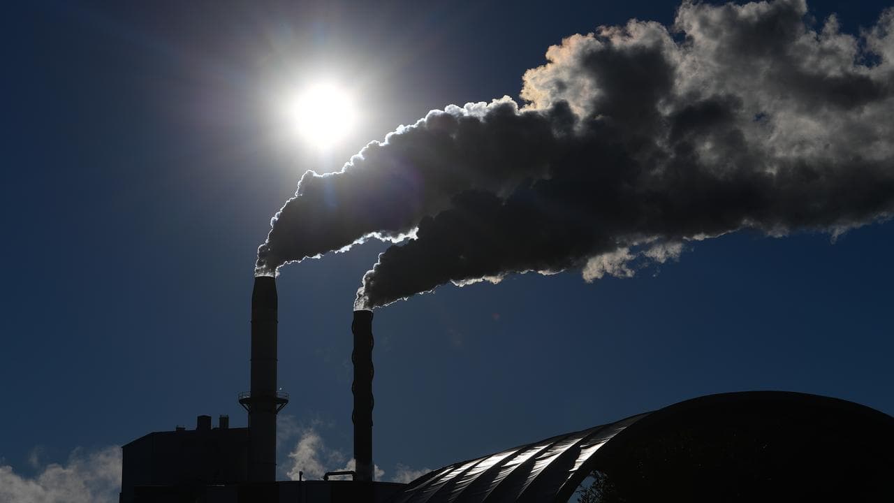 'Bizarre' push to drop net zero sets up coalition clash