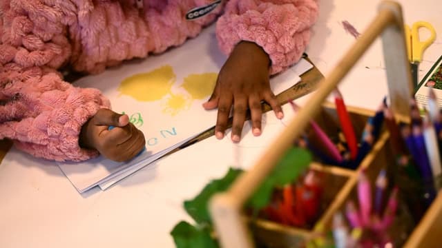 'Pains me to the heart': MP fears NDIS autism changes