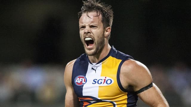 Time to make AFL safer for everyone: AFLPA president