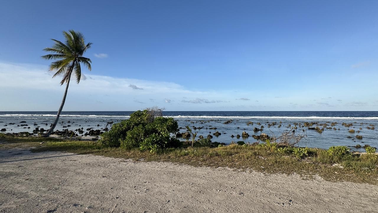 Hundreds of former immigration detainees to be deported