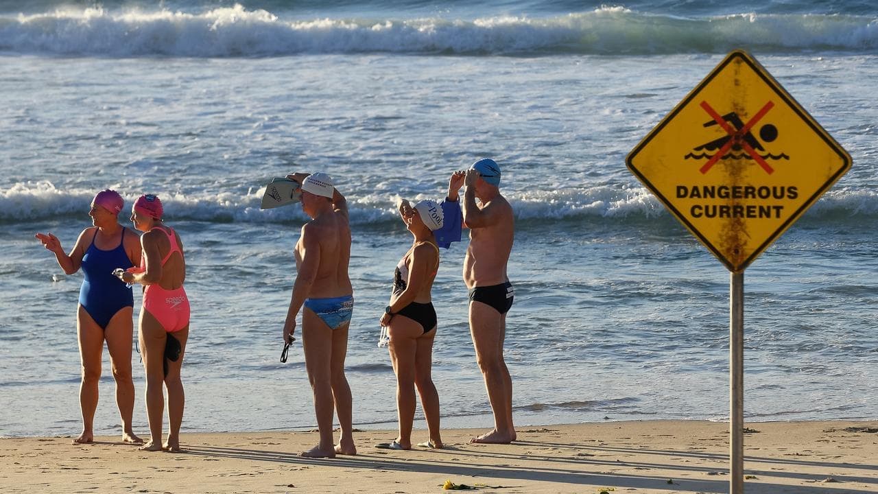 Shark nets stand-off leaves swimmers in murky waters