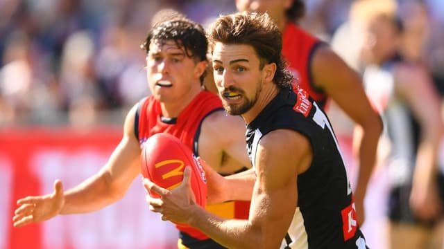 Tag at your peril: Magpies ready to protect stars