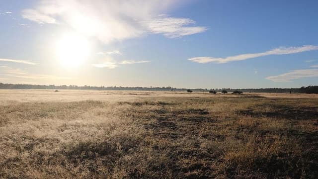 'Super emitter': borehole readings spark audit call