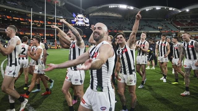 'Bloody brilliant': Magpie Dad's Army relish finals win