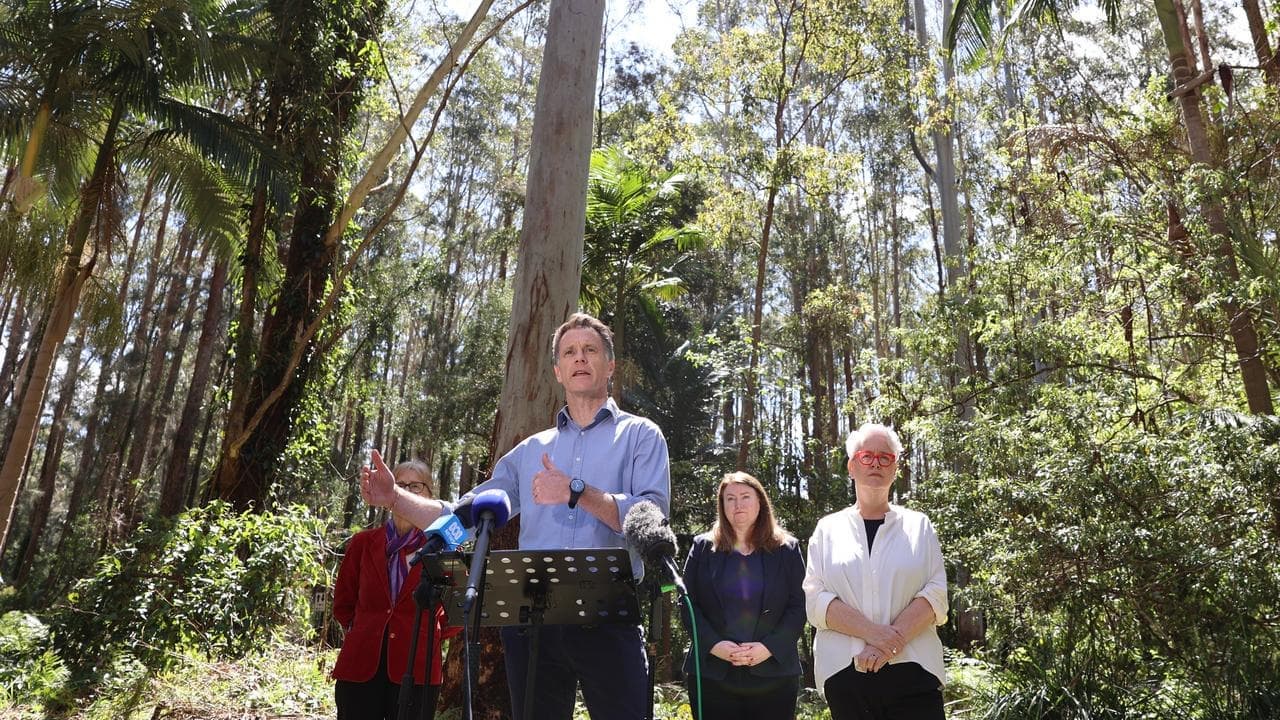 Massive koala park plan to give logging the chop