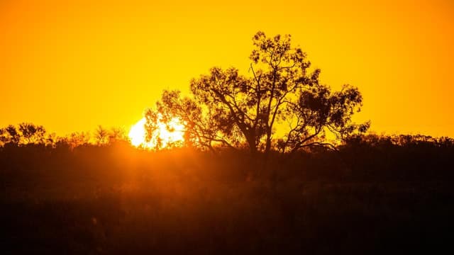 Tree-change trend slows but regions remain attractive